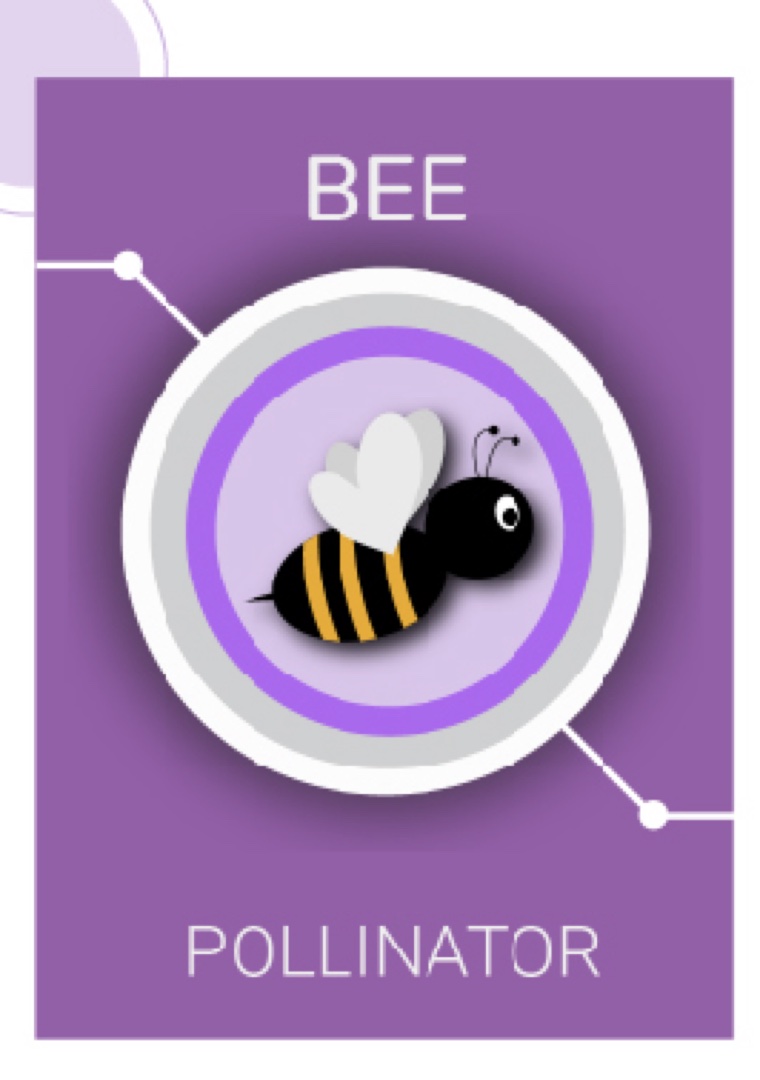 A Bee pollinator card, a bee badge on deep purple above the word Pollinator.